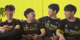 Que valent les nouvelles recrues de Vitality ?