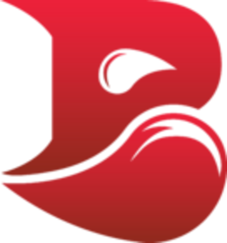 Bleed eSports