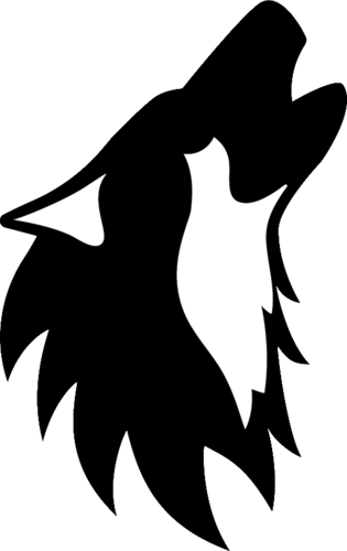 ALPHA TEAM