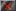 noflag